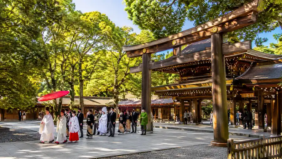 Meiji Shrine Weddings, Festivals & Cultural Experiences