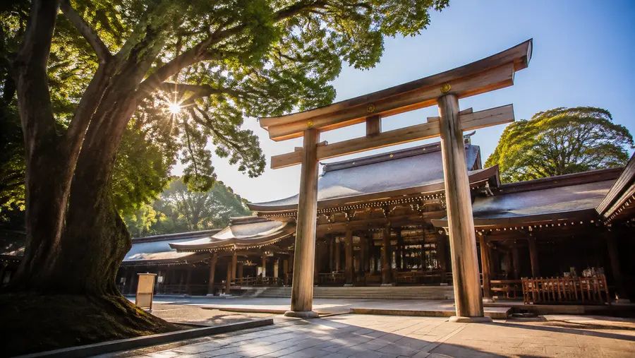 Things to Do & Eat Near Meiji Shrine